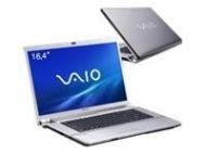 Sony VAIO VGN-FW41