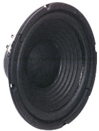 Visaton W 200