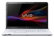 Sony VAIO SVE1713E1