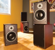 Dynaudio DM 2/10