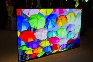 Sony&rsquo;s Bravia XBR-A1E OLED could be the first flat-screen TV with sound that doesn&rsquo;t suck