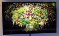 Panasonic 4k OLED TV