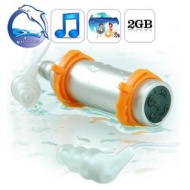 2GB Waterproof MP3 Player FM radio For Water Sports And Shower Music DTCJX21