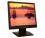 Princeton Digital LCD1910 (Black) 19&quot; LCD Monitor