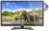 MEDION LIFE P12232 (MD 20079) 47 cm (18,5&quot; Zoll) LED-Backlight-TV (HD, DVB-T, DVB-C, integrierter DVD-Player, Mediaplayer, CI+, HDMI, EEK A) schwarz