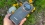 Doogee DK10 5G