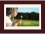eMachines DPF-1331 - 13-inch Digital Picture Frame - 1366 x 768 - 128 MB
