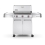 Weber 6650001