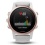 Garmin Fenix 5S Sapphire