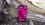 T-Mobile REVVL 7 PRO 5G