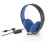 Sony PlayStation Silver Wired Stereo Headset