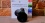 Google Chromecast Ultra (2016)