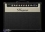 Bugera [Vintage Series] V22