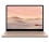 Microsoft Surface Laptop Go (12.4-Inch, 2020)