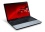Packard Bell EasyNote LE69