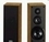 Sony SS MF450H