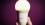 Anker Eufy Lumos Smart Bulb (A19)