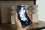 Samsung Galaxy Z Flip 4 5G (2022)