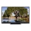 Sharp LC60LE640U Aquos 60-Inch 1080p 120Hz 1080p LED TV