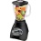 Oster 10-Speed Blender