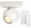 Philips Hue Buckram Spot Wit met Dimmer