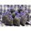 Belling Farmhouse 100G