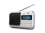 Dual DAV $ Radio digitale portatile (DAB/FM, 2,5 Watt, ingresso per cuffie), colore: Argento [Importato dalla Germania]