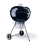 Weber 751001