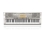Casio&reg; WK-200 76-Key Keyboard