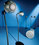 Anthony Gallo Acoustics A&#039;Diva Ti Speaker System