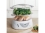 Rival Food Steamer