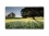 LG 47WX50MF-B