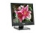 KDS K-72MB Black 17&quot; 8ms LCD Monitor 260 cd/m2 500:1 Built-in Speakers