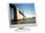 ViewEra V191HD Black 19&quot; 14ms LCD Monitor No Dead Pixel Manufacturer Guarantee 250 cd/m2 1000:1 Built-in Speakers