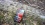 Motorola Moto G Power
