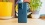 Motorola Edge 50 Fusion