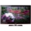 Samsung PN50B650 Series