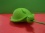 Turtle Optical Mouse Pc Laptop Green