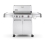 Weber 6670001