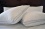 Bicor Perfect Dreams Extra Firm Pillow, Standard 20x26, 2-Pack