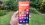 ZTE nubia Z60 Ultra