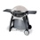 Weber Q300