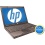 HP Dualpoint 6910p