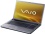 Sony VAIO VGN-AW31S/B