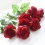 20pcs Head Real Touch Latex Rose Flowers For wedding Bouquet Decoration 8 Colors (KC303 fushia rose)