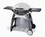 Weber Q300