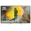 Panasonic 49EX600B LED HDR 4K Ultra HD Smart TV, 49&quot; with Freeview Play &amp; Switch Design Adjustable Stand, Black &amp; Silver