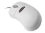 Belkin Netmaster Scroll Mouse - Mouse - 2 button(s) - wired - USB - white - retail