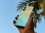Realme 10 Pro Plus