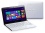 Sony VAIO SVE1113M1E_